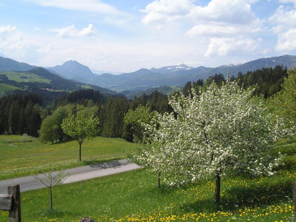 דירות אבטנאו Haus Oberhaslach מראה חיצוני תמונה