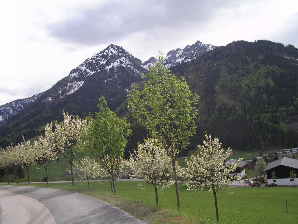 דירות אבטנאו Haus Oberhaslach מראה חיצוני תמונה