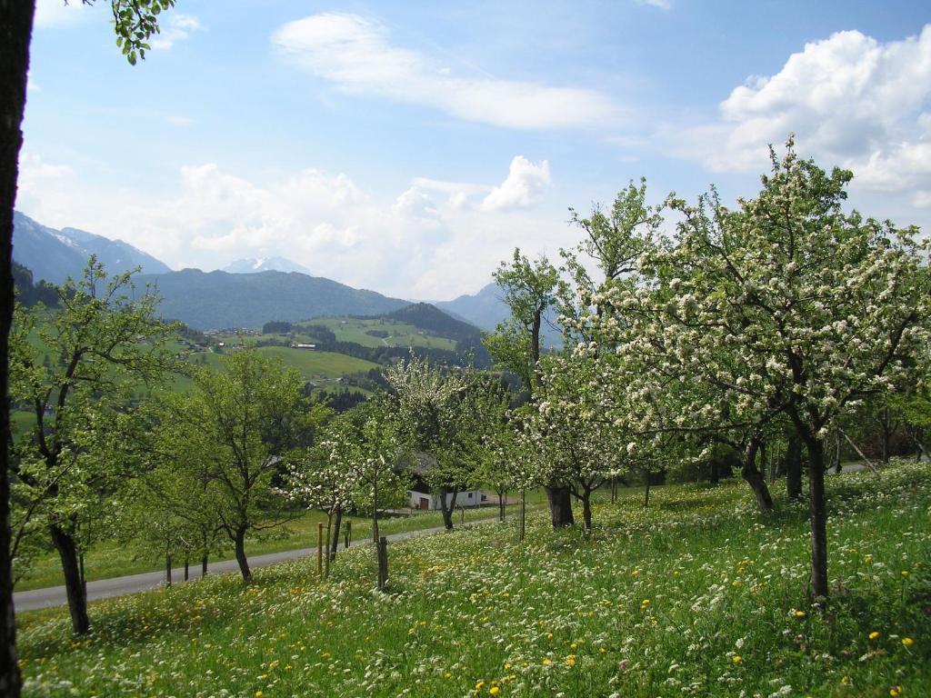דירות אבטנאו Haus Oberhaslach מראה חיצוני תמונה